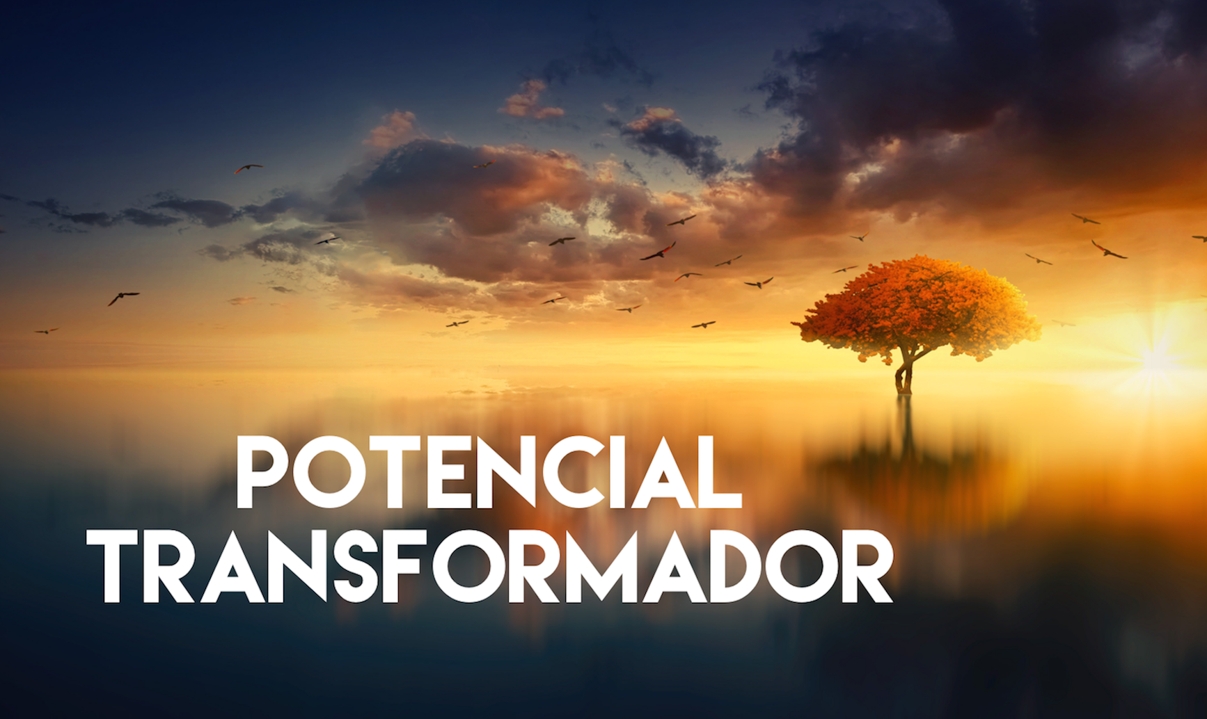 Potencial Transformador.